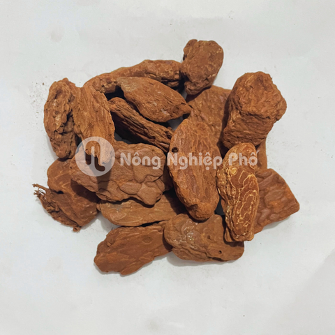 Vỏ thông đã xử lý  – Chống nấm, giữ ẩm tốt, thoáng khí cho lan rừng