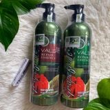 Bộ Dầu Gội Bưởi Grapefruit Valert - Ngăn Rụng Tóc, Kích Mọc Tóc 850ml