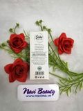 Serum NSkin Tảo Non, Collagen - Serum Siêu Phục Hồi 25ml
