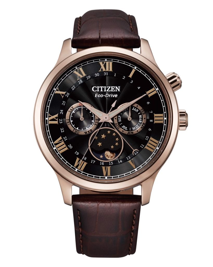 Đồng hồ Citizen AP1059-19E
