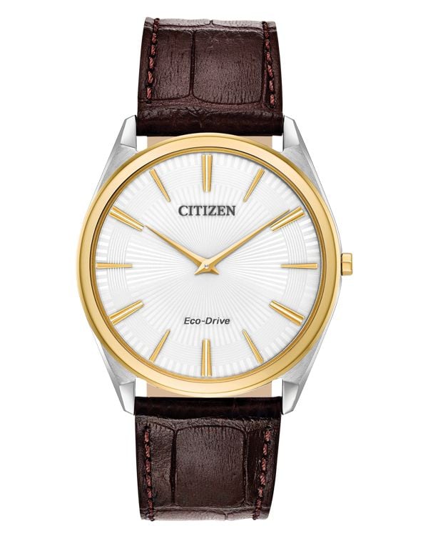 Đồng hồ Citizen AR3074-03A