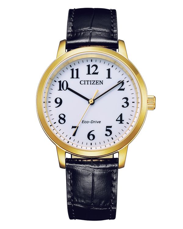 Đồng hồ Citizen BJ6543-10A