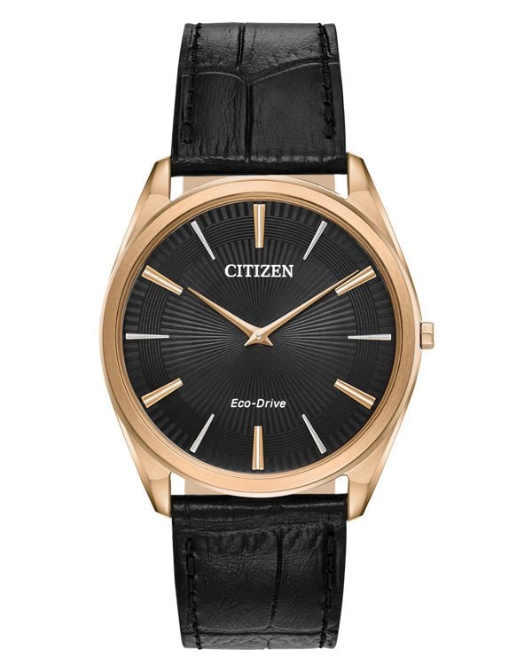 Đồng hồ Citizen AR3073-06E
