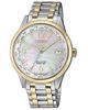 Đồng hồ Citizen FC8008-88D