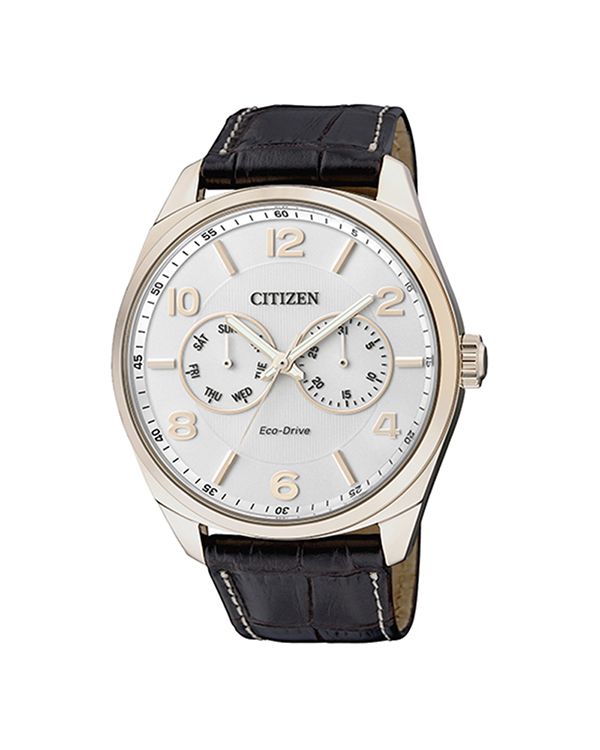 Đồng hồ Citizen AO9024-08A