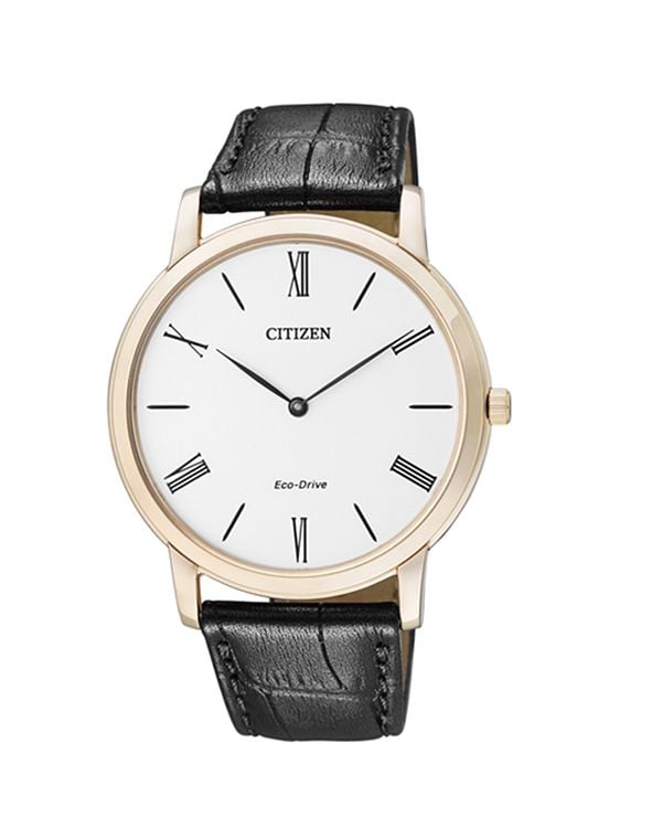 Đồng hồ Citizen AR1113-12B