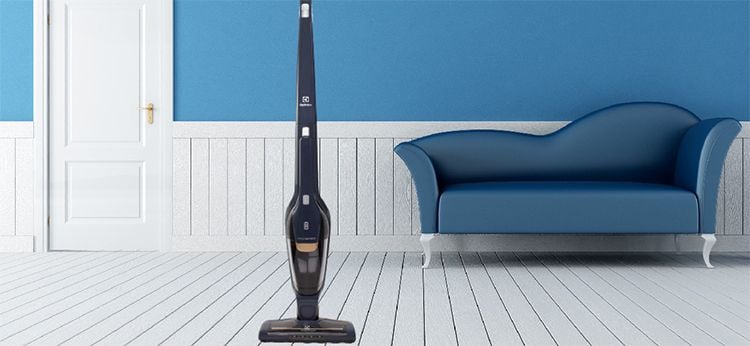  Máy hút bụi Electrolux ZB3513DB 