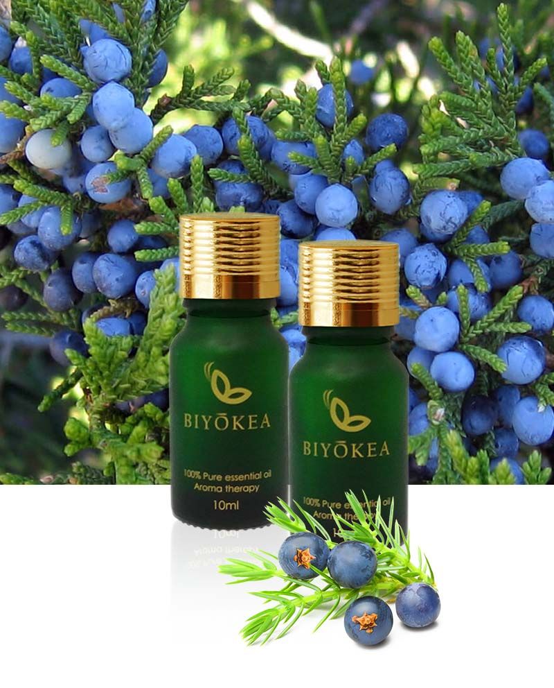  TINH DẦU BIYOKEA ĐỖ TÙNG( JUNIPER LEAF) 10ML 