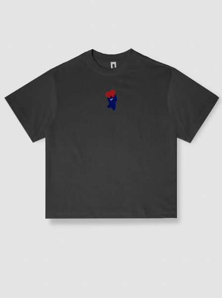  Áo boxy nigo love bear 