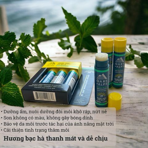  Son dưỡng chống nắng môi cho nam Oars + Alps Lip Balm SPF dưỡng ẩm môi, giảm nứt nẻ, không bóng dính, mờ thâm môi 