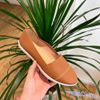 Slipon đế đỏ may chỉ ngang dập chấm bi cổ xẻ - MS: SL-59009
