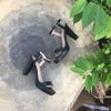 Giày Sandal 9p đúp mũi vuông bảng ngang gót sơn - MS: S9-23010