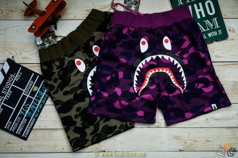  Sweat Shorts Color Camo Shark 