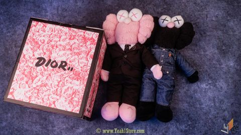  KAWS DIOR 19S/SX Phiên bản giới hạn BFF 