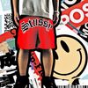 STUSSY SHORTS (BEST VERSION)