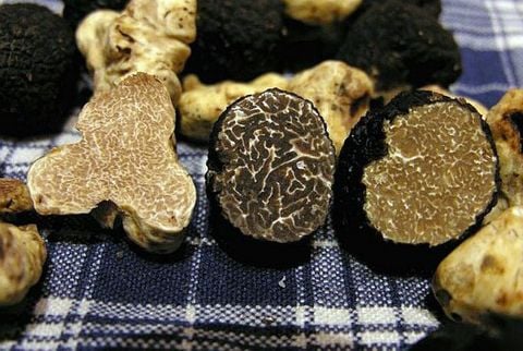  Nấm Truffle ( Nấm cục hay còn gọi là Hắc tùng lộ ) - Loại A1 - Đông lạnh - LH:0915179900 