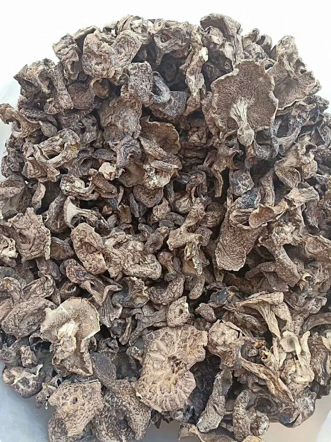 Nấm Vuốt Hổ Đen - Sarcodon Aspratus - Sấy khô - LH:0915179900