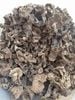 Nấm Vuốt Hổ Đen - Sarcodon Aspratus - Sấy khô - LH:0915179900