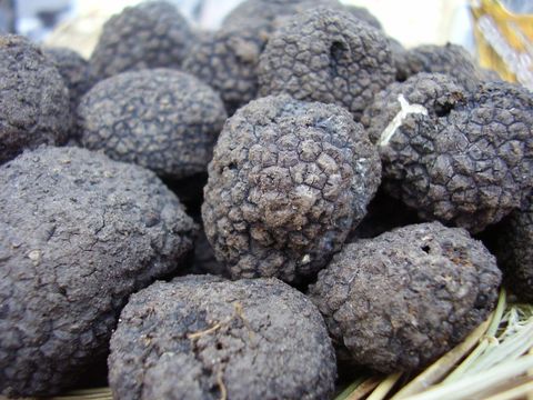  Nấm Truffle (Nấm Cục hay còn gọi là Hắc Tùng Lộ) - Loại A1 - Khô - LH:0915179900 