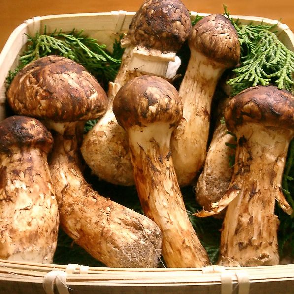 Nấm tùng nhung - Matsutake ( Hàng loại A3 - Đông lạnh ) - LH:0915179900