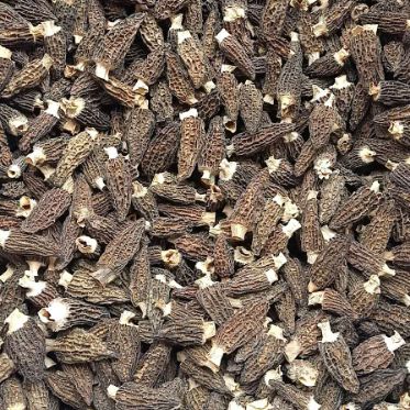 Nấm Bụng Dê (Morel Mushrooms) - Khô - Loại A1 - LH:0915179900