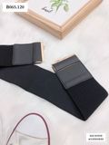  BELT-B065 