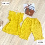  Set bộ lửng tay bèo cổ tròn khoét V - D1977 