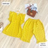  Set bộ lửng tay bèo cổ tròn khoét V - D1977 