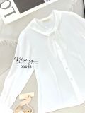  Áo sơ mi dài tay cổ bèo cài nơ cách điệu - D3053 