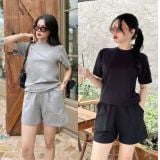  Set bộ đùi trơn cổ tròn - D3153 