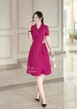  Đầm cổ V nhún eo cách điệu form dáng xoè - D3181 