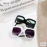  KÍNH DIOR SANG CHẢNH - K230 
