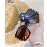  Kính viền vuông phối sọc trắng - K252 