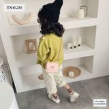  TÚI XÁCH MINI KHÓA VÀNG TX45 