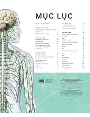 NÃO CHÚNG TA CÓ GÌ VÀ LÀM GÌ? (SÁCH MÀU - BÌA CỨNG)