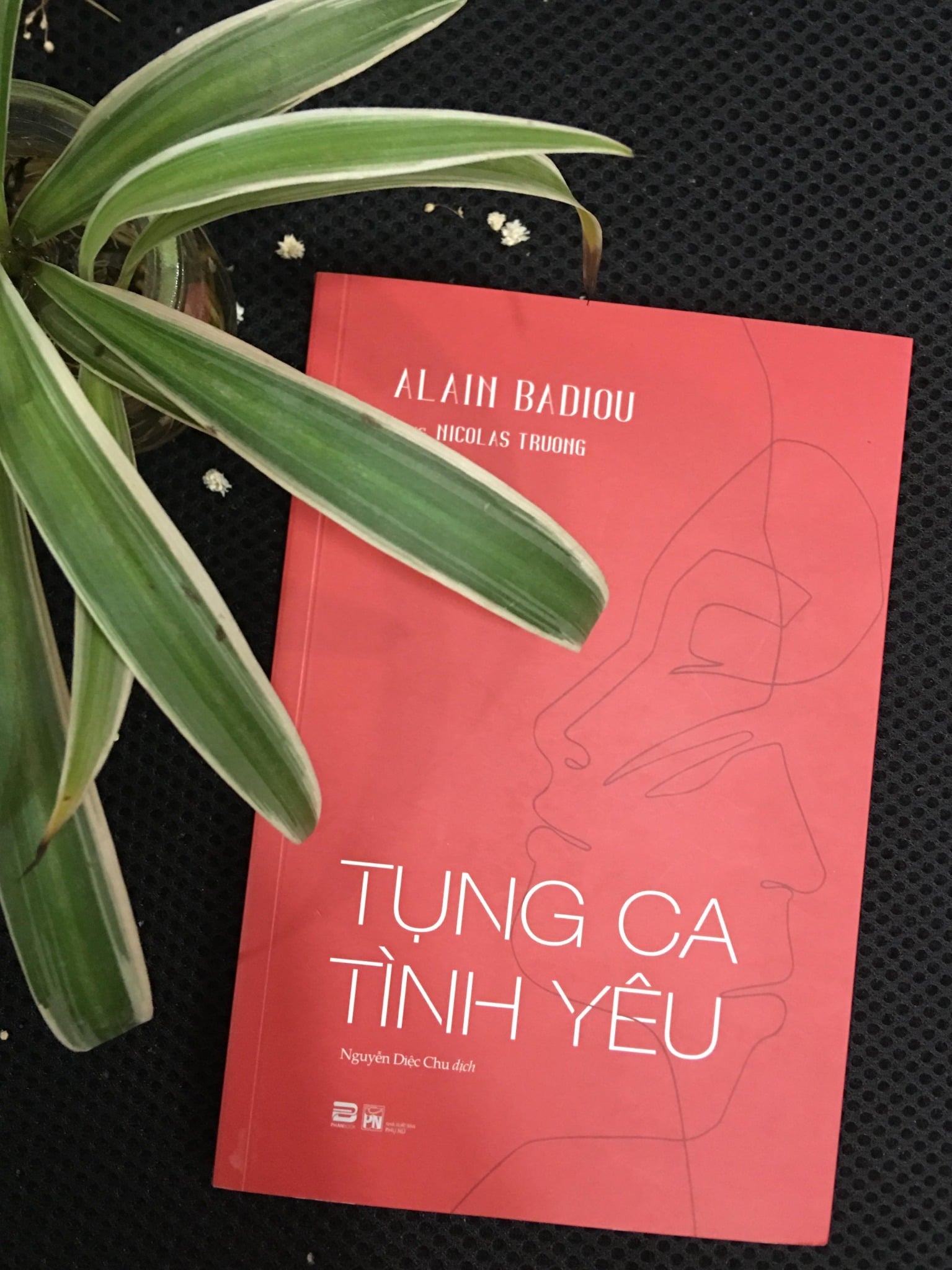 TỤNG CA TÌNH YÊU