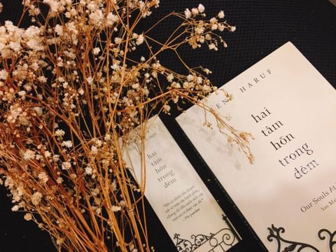 HAI TÂM HỒN TRONG ĐÊM (NGÃ MÀU NGOẠI QUAN)