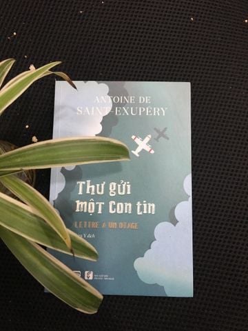 THƯ GỬI MỘT CON TIN