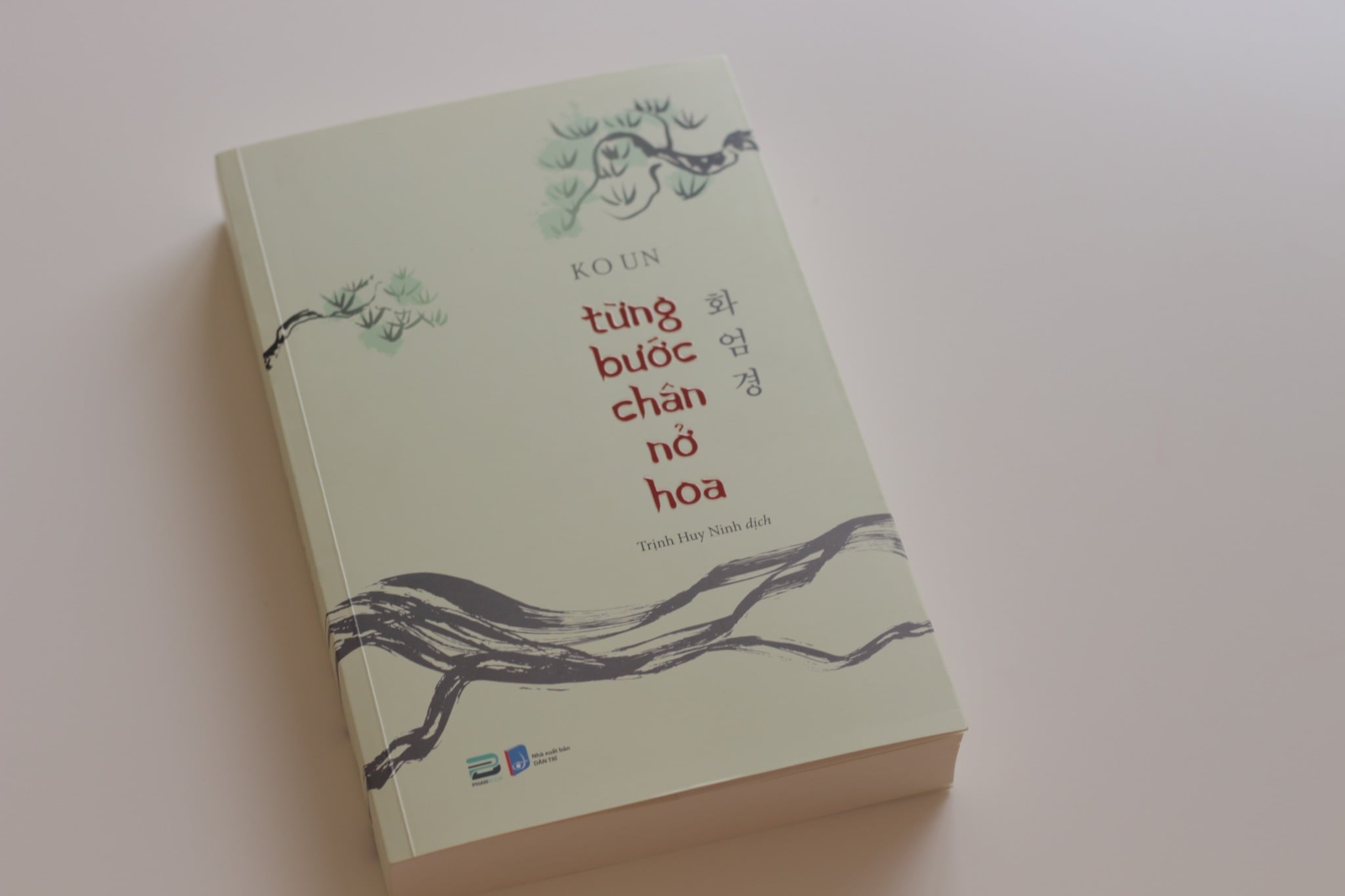 TỪNG BƯỚC CHÂN NỞ HOA