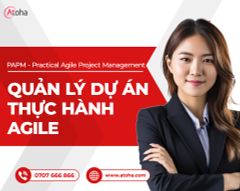 PAPM - PRACTICAL AGILE PROJECT MANAGEMENT