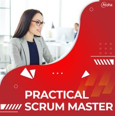 Practical Scrum Master