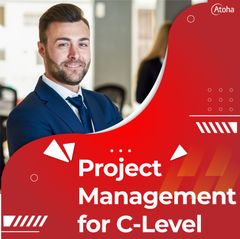 The Art of Project Management for Senior Managers