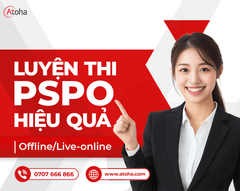 PROFESSIONAL SCRUM PRODUCT OWNER (PSPO)
