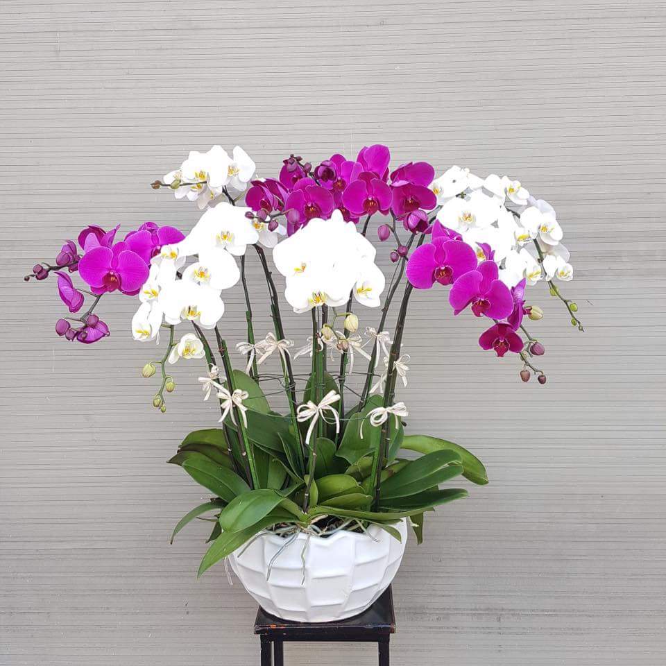 Hình ảnh có liên quan