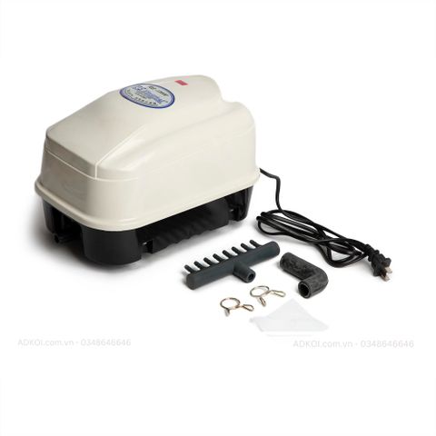 RS 16000(45W)-Máy sủi Oxi