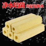 Sứ thanh hoa mai vàng