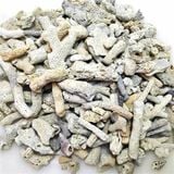 San hô-Vật liệu lọc nước