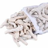 San hô-Vật liệu lọc nước