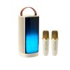 Loa Karaoke Bluetooth iCore iParty – Loa Kép Stereo, 2 Micro Không Dây, Đèn LED Đổi Màu – Giá Tốt