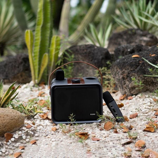 Loa Karaoke Bluetooth iCore ISM09 – Thiết Kế Đẳng Cấp, Âm Thanh Sống Động, Giá Cực Tốt!